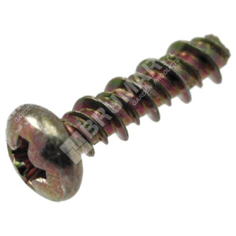 Tornillo tapa anillo freno cadena 4x15 OCS2801C COMPATIBLE - 018043