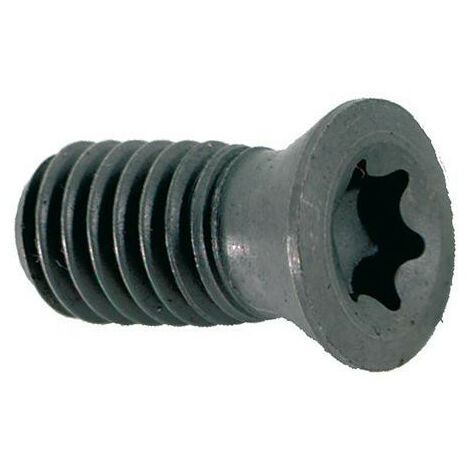 Tornillo Torx para D. 25 mm