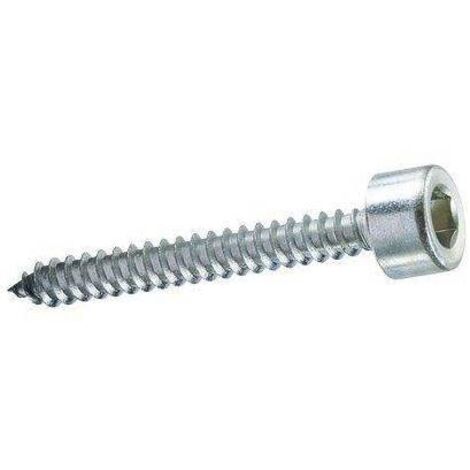 Tornillos autoperforantes TCCE Ambrovit