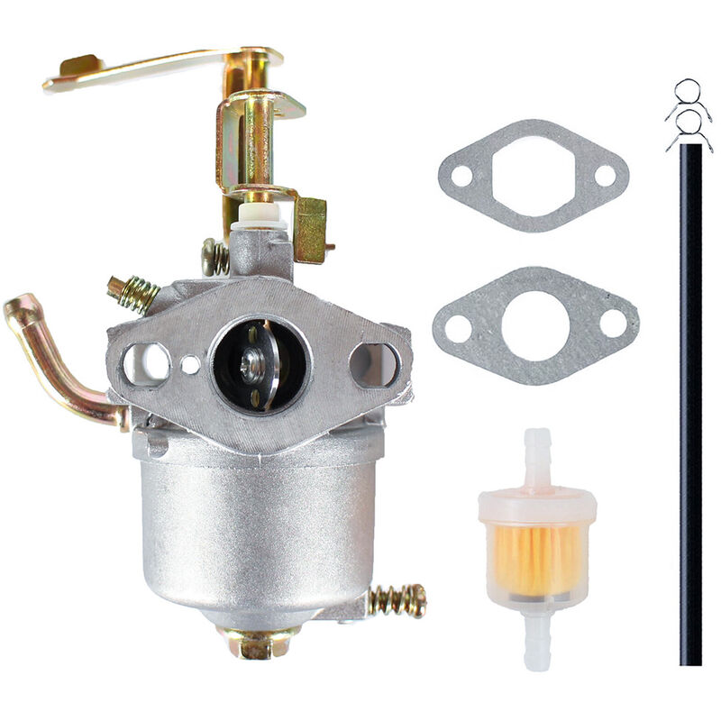 TORO 119-1977 Carburateur tremblement de terre 99CC 1-1.5KW ARDISAM 10078