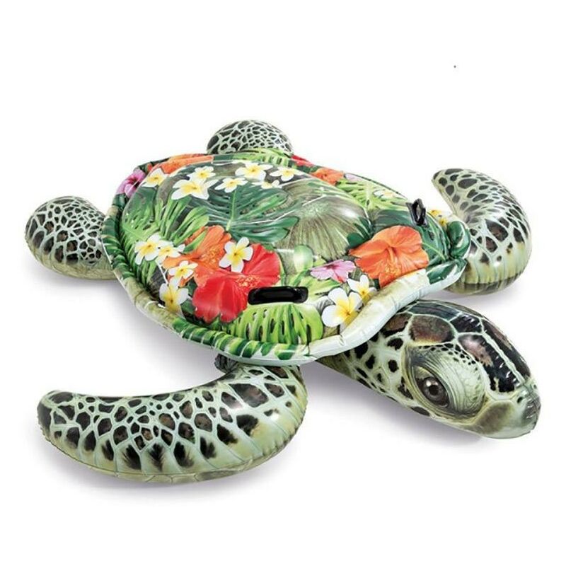 Tortue à chevaucher