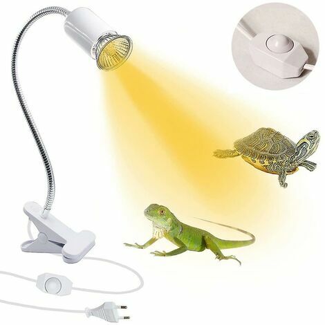 Lampe chauffante de poulailler 100 300w Cultivation Heater Chick Lamp pour  animal de compagnie Poulet Bétail Lampe chauffante Outil