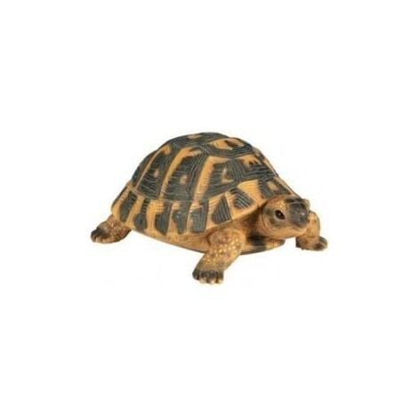 Tortue Hermann PM