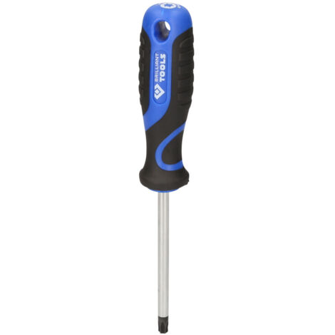 TORX-Schraubendreher T40, Länge 100 mm