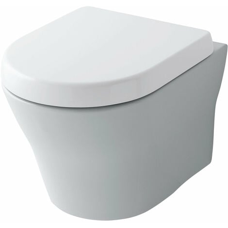 Inodoro con ducha BERNSTEIN Basic 1102 - WC japonés - oferta especial 6 con  módulo sanitario 805 y