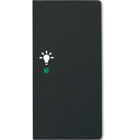TOUCH ROCKER NOIR POUR DOMOTIQUE KNX 6231-22-885 BUSCH-JAEGER 2CKA006220A0509