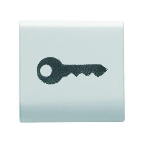 TOUCHE INTERCHANGEABLE 'CLÉ' BLANC GEWISS GW10543