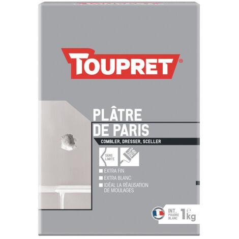 TOUPRET - Platre de paris intérieur poudre 1kg blanc