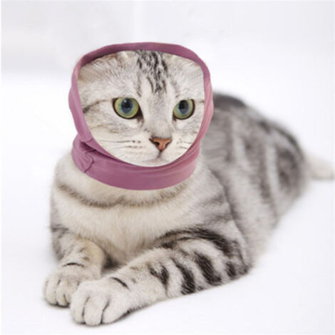 Tour de cou et cache-oreilles de protection pour chien et chat, taille M