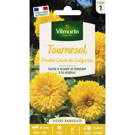 Tournesol Double Géant de Californie Vilmorin