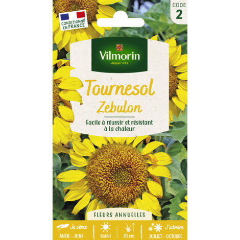 Tournesol Zebulon Pollen Free Vilmorin