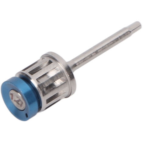 Tournevis à Implant Dentaire Professionnel en Acier Inoxydable Portable pour Clinique - 25mm