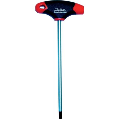 Tournevis avec poignée en T T25x100mm FORTIS
