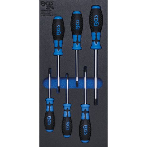 Tournevis BGS Technic Insert T15 à T40 80-150 mm