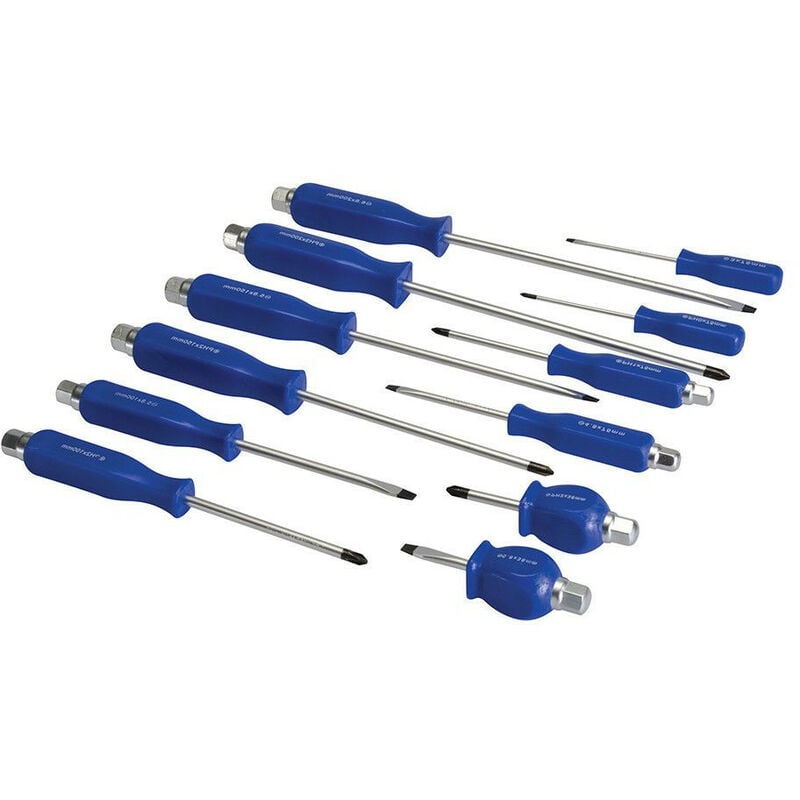 Lot de 12 tournevis - 6 pozidriv et 6 plats (avec tete 6 pans)