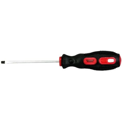Tournevis Fente 3x75mm Précision Et Durabilité - Fischer Darex