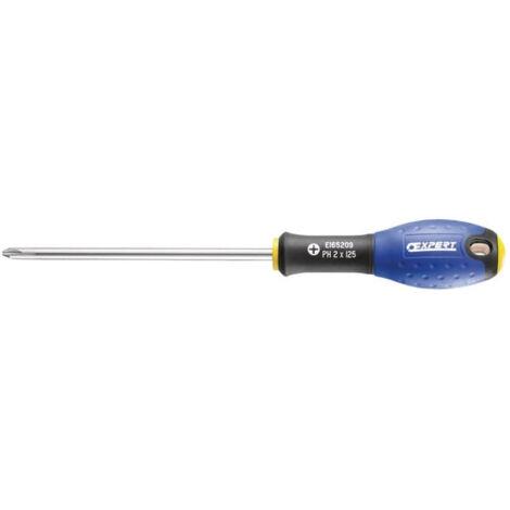 Tournevis Phillips PH1X100 - Expert