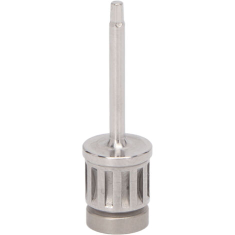 Tournevis pour Implant Dentaire 1.25 en Acier Inoxydable - Driver de Vis Micro pour Abutment et Pose d'Implants (0.98in)