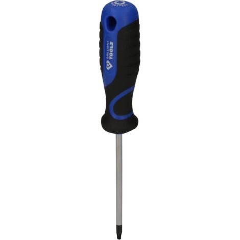 Tournevis TORX T20, longueur 100 mm