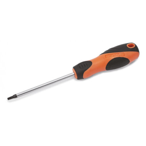 Tournevis Torx T30x125mm