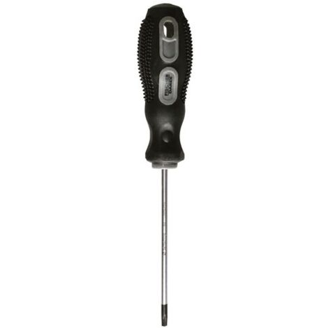 Tournevis Torx Tt10 3.0 X 75 Mm - Fischer Darex