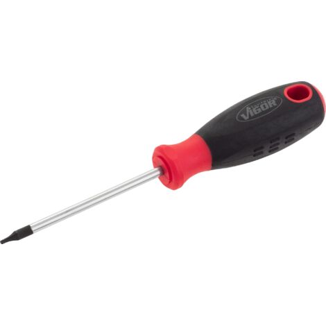 Tournevis ∙ V4419 ∙ Profil TORX® intérieur ∙ Taille T6