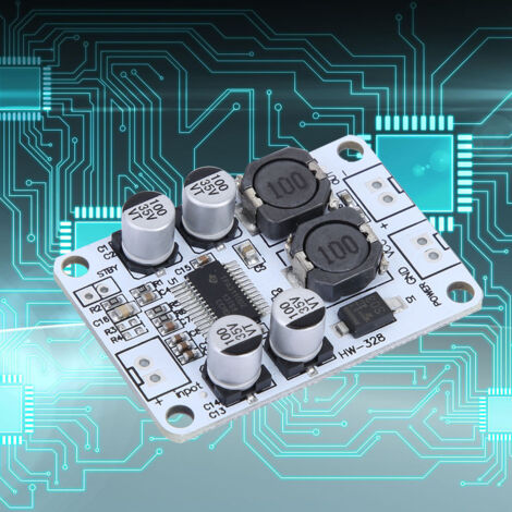 TPA3110 30W Hochleistungs-Mono-Digitalverstärker, 8-26VDC Netzteil