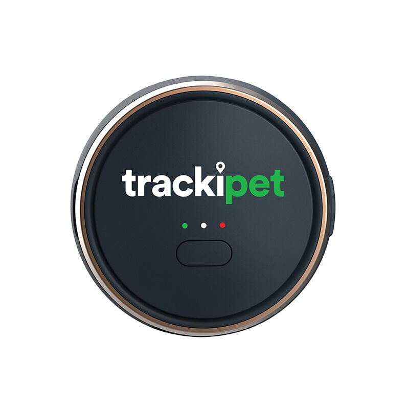 Traceur gps Trackipet pour chiens avec abonnement Datas de 3 mois inclus - IP67 - Connectivité 24h/24 et 7j/7 Trackimo