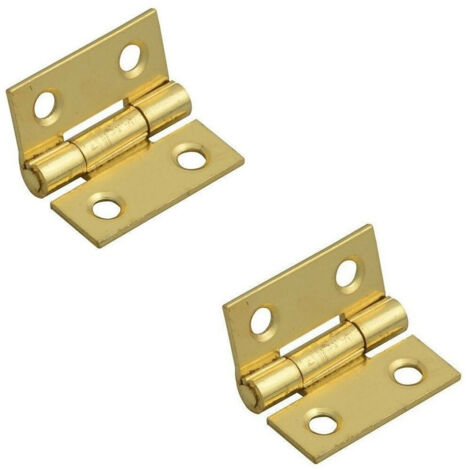 Trade Shop - 2 Pezzi Cerniere In Ottone Per Porte Mobili Armadi Sportelli Ante 25 Mm -