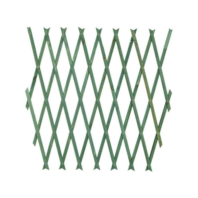 Treillis Vert Extensible En Bois Pour Jardin Plantes Murales 300x100