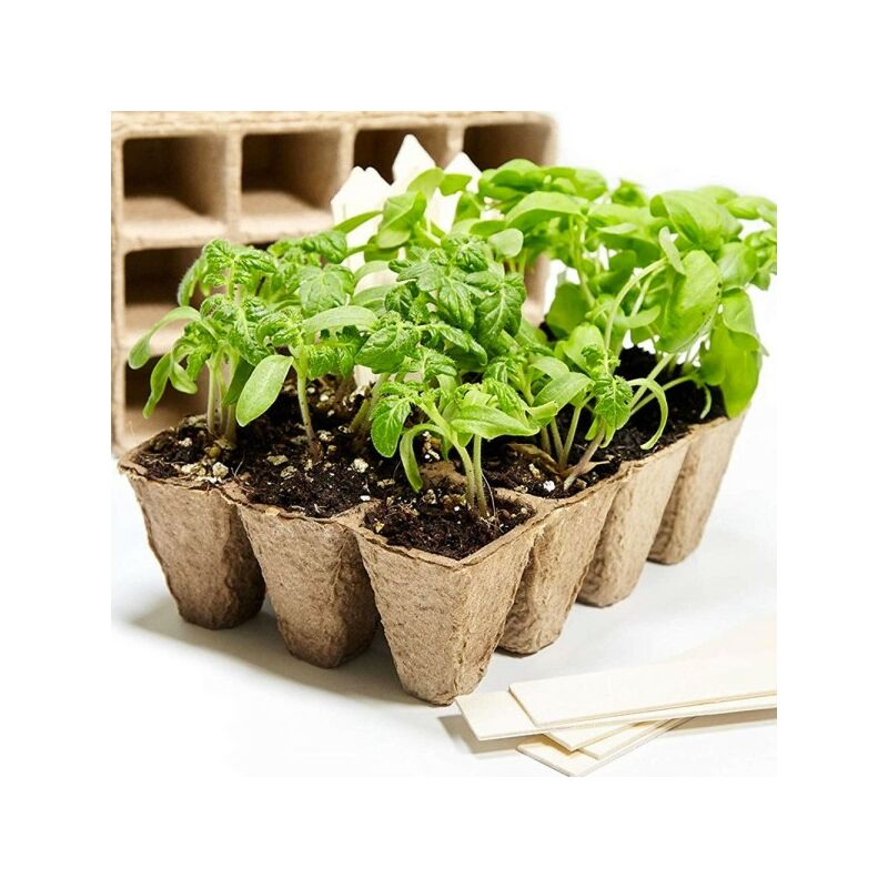 Trade Shop Traesio - Pots Biodégradables Pour Semis Plantes Fleurs Semis 40pcs 6x6x4.5cm