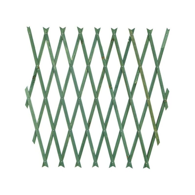 Treillis Vert Extensible En Bois Pour Plantes Murales 100x200