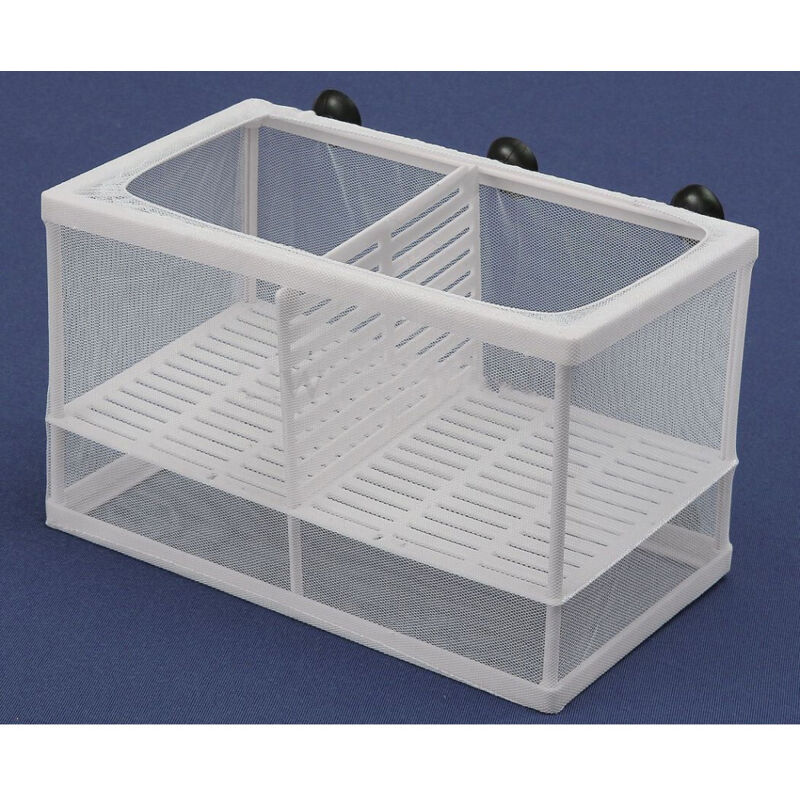Cage D'élevage Pour Aquarium Sépare Le Protecteur D'oeufs De Poisson Incubateur Grand