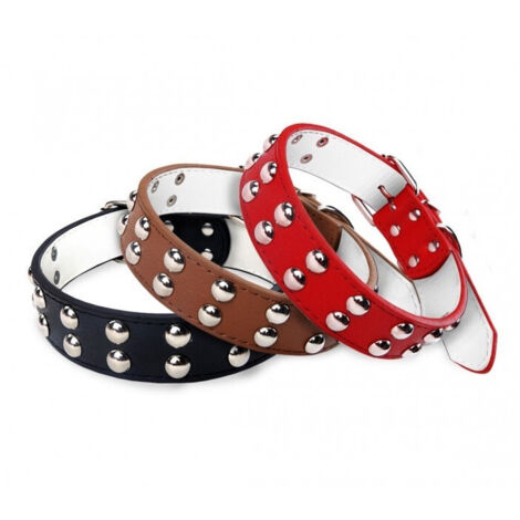TRADE SHOP - Collare Con Borchie Tonde Per Cani Taglia Grande Chiusura Con Fibbia Regolabile -