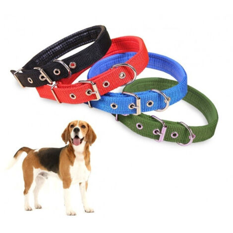 TRADE SHOP - Collare In Nylon C/ Imbottitura Per Cani Di Tg. Media Chiusura Fibbia Regolabile -