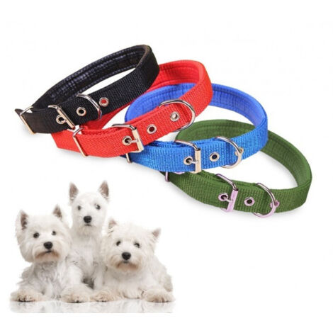 TRADE SHOP - Collare In Nylon Con Imbottitura Per Cani Piccola Tg. Chiusura Fibbia Regolabile -