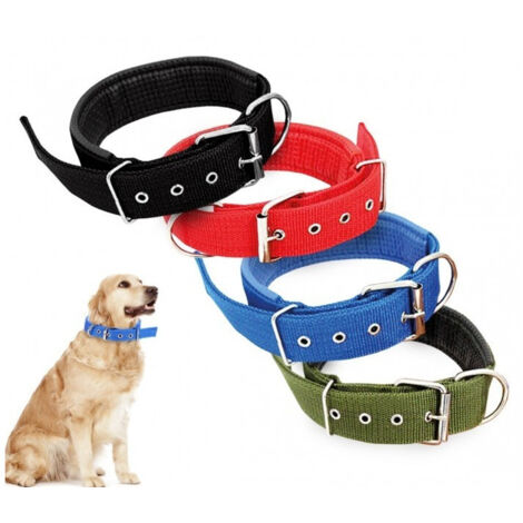 TRADE SHOP - Collare In Nylon Con Imbottitura Per Cani Tg. Grande Chiusura Fibbia Regolabile -