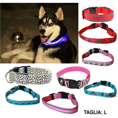 TRADE SHOP - Collare Per Cane Cani A Led Luminoso Sicurezza Led Notturno Clip Fantasia Tg.l -