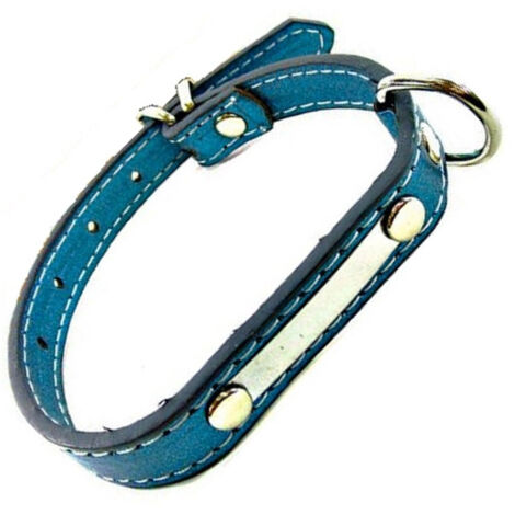 Trade Shop - Collare Per Cane In Cuoio Con Decorazioni Chiusura A Cinta 34x2 Cm Vari Colori -