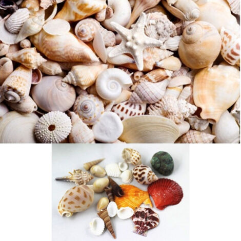Trade Shop - Confectual Seast In Ornation For Warning Arred Decorations -