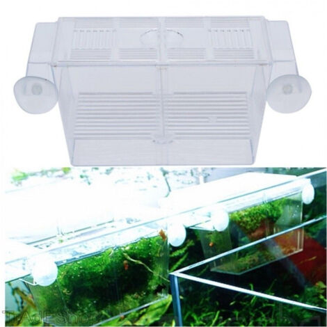 TRADE SHOP - Incubatrice Cassetta Per Acquario Per Allevamento Separa Pesci Proteggi Uova -