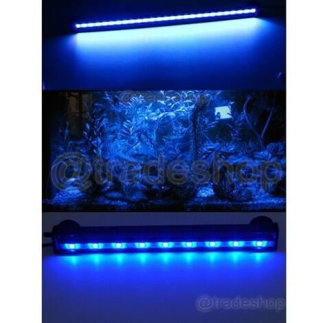 Lampada per acquario con illuminazione a LED in cristallo per acquario da  16cm LED bianchi e blu lampada a Clip impermeabile braccio flessibile -  AliExpress