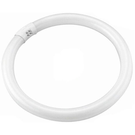 TRADE SHOP - Lampada Luce Neon Circolare Fredda T9 Risparmio Energetico Fluorescente 22 Watt -