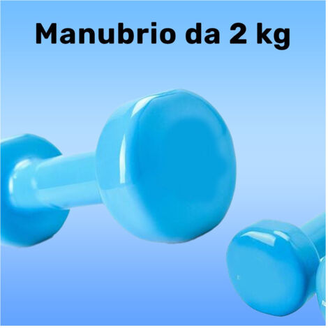 Trade Shop - Manubrio Singolo 2 Kg In Vinile Allenamento Esercizi Casa Palestra Workout Fit -