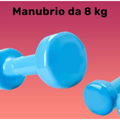 Coppia Pesi Palestra Manubri Per Casa Fitness Manubrio In Neoprene Pesetti  Esagonali Impugnatura Antiscivolo Body Building Crossfit Aerobica Esercizi  Ginnastica 2 x 1.5 Kg Colore Viola : : Sport e tempo libero