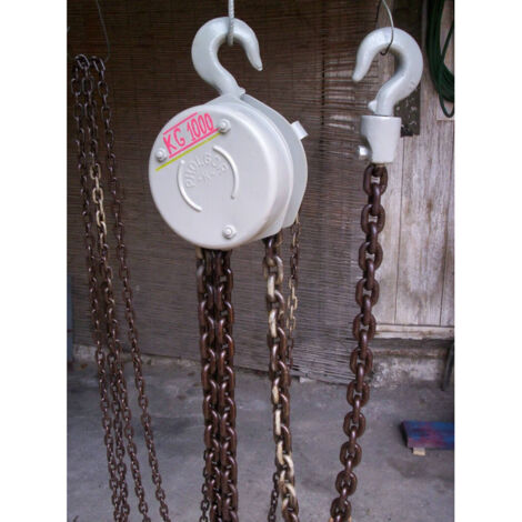 TRADE SHOP - Paranco  Fulgor Di Grande Portata Kg 1000 Catena Da Tiro 3 Metri -