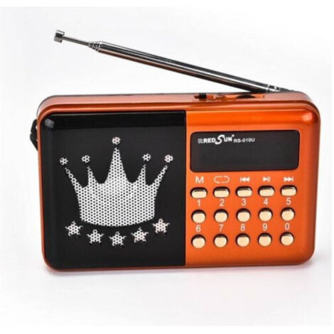 Trade Shop - Radio Fm Rs-010u Lettore Musicale Player Portatile Microsd Mmc Usb Aux -