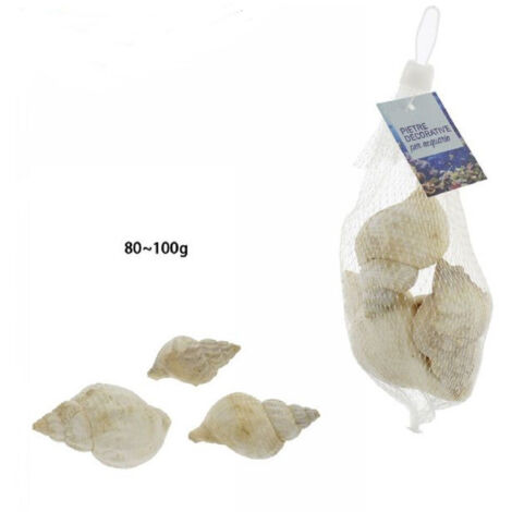 Trade Shop - Sacchetto Da 80 - 100 Gr Conchiglie Di Mare Decorazione Ornamento Acquario 70285 -