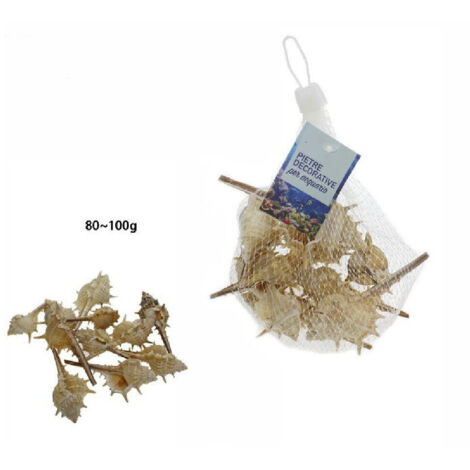 TRADE SHOP - Sacchetto Di Conchiglie Mare Arredo Decorazione Per Acquario Da 80-100 Gr. 70283 -