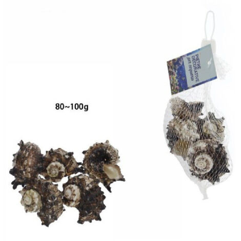 TRADE SHOP - Sacchetto Di Conchiglie Mare Da 80-100gr Decorazione Arredo Per Acquario 70288 -